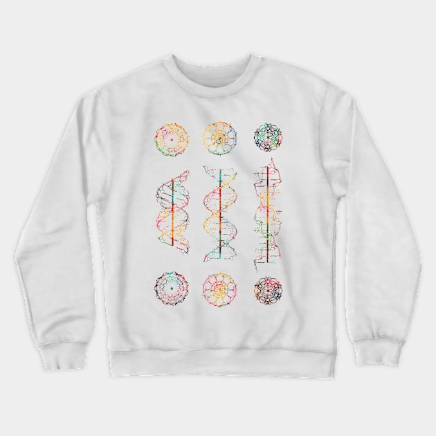 A-,B-, and Z-DNA Crewneck Sweatshirt by erzebeth